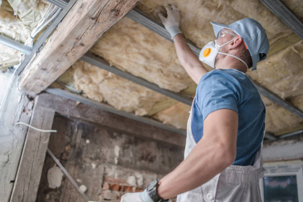 Professional Insulation Contractor in Pensacola, FL